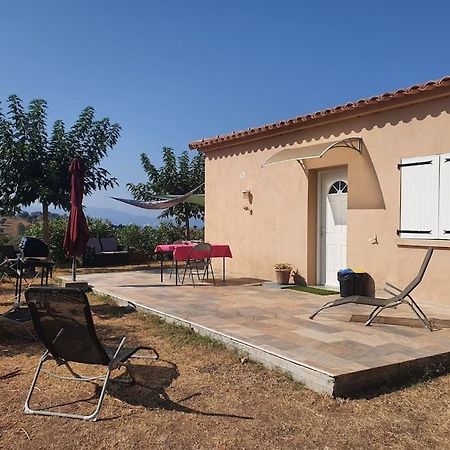 Studio Mitoyen A La Campagne Vue Sur La Mer Cargèse Dış mekan fotoğraf